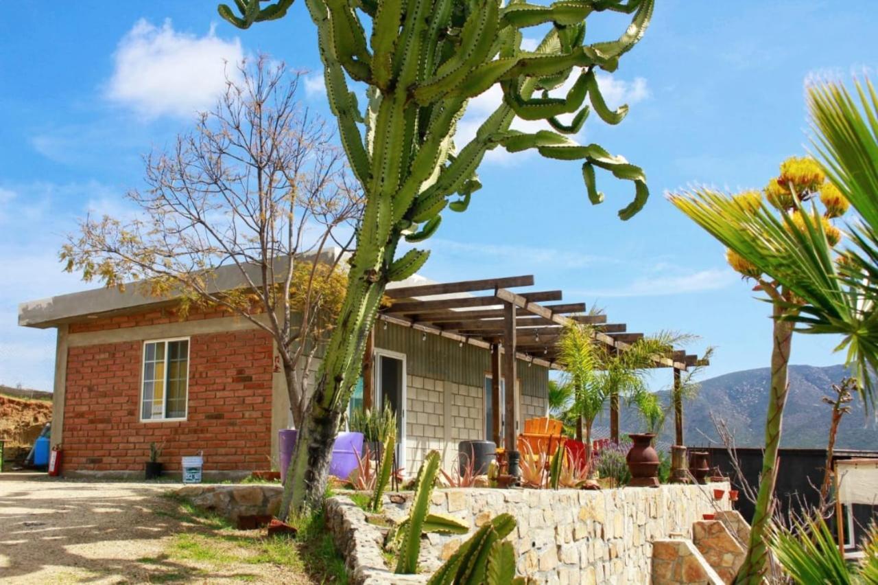 Rancho Matalote En Valle De Guadalupe Zewnętrze zdjęcie