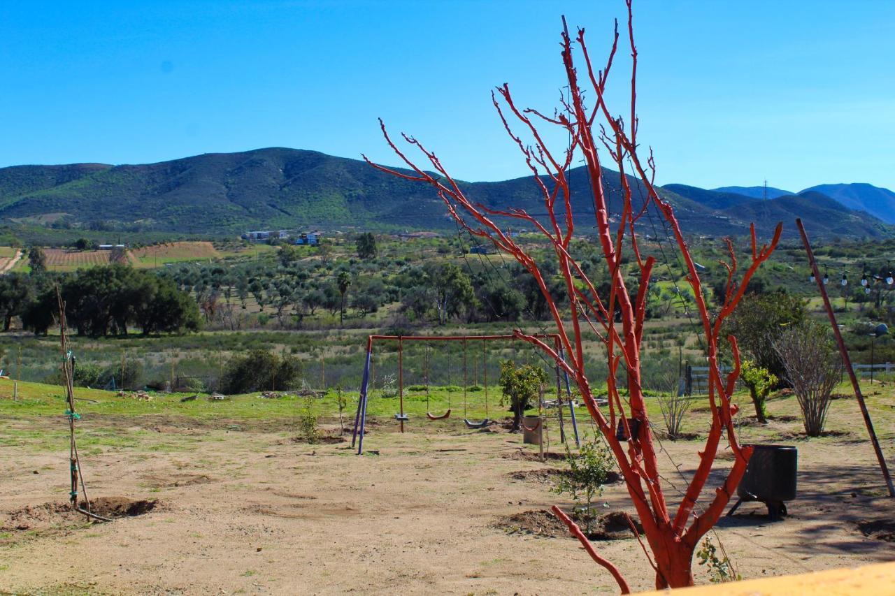 Rancho Matalote En Valle De Guadalupe Zewnętrze zdjęcie