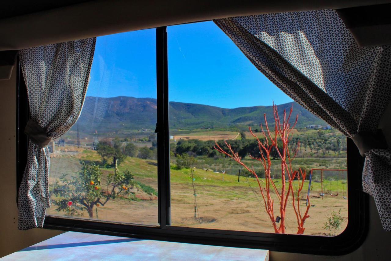 Rancho Matalote En Valle De Guadalupe Zewnętrze zdjęcie