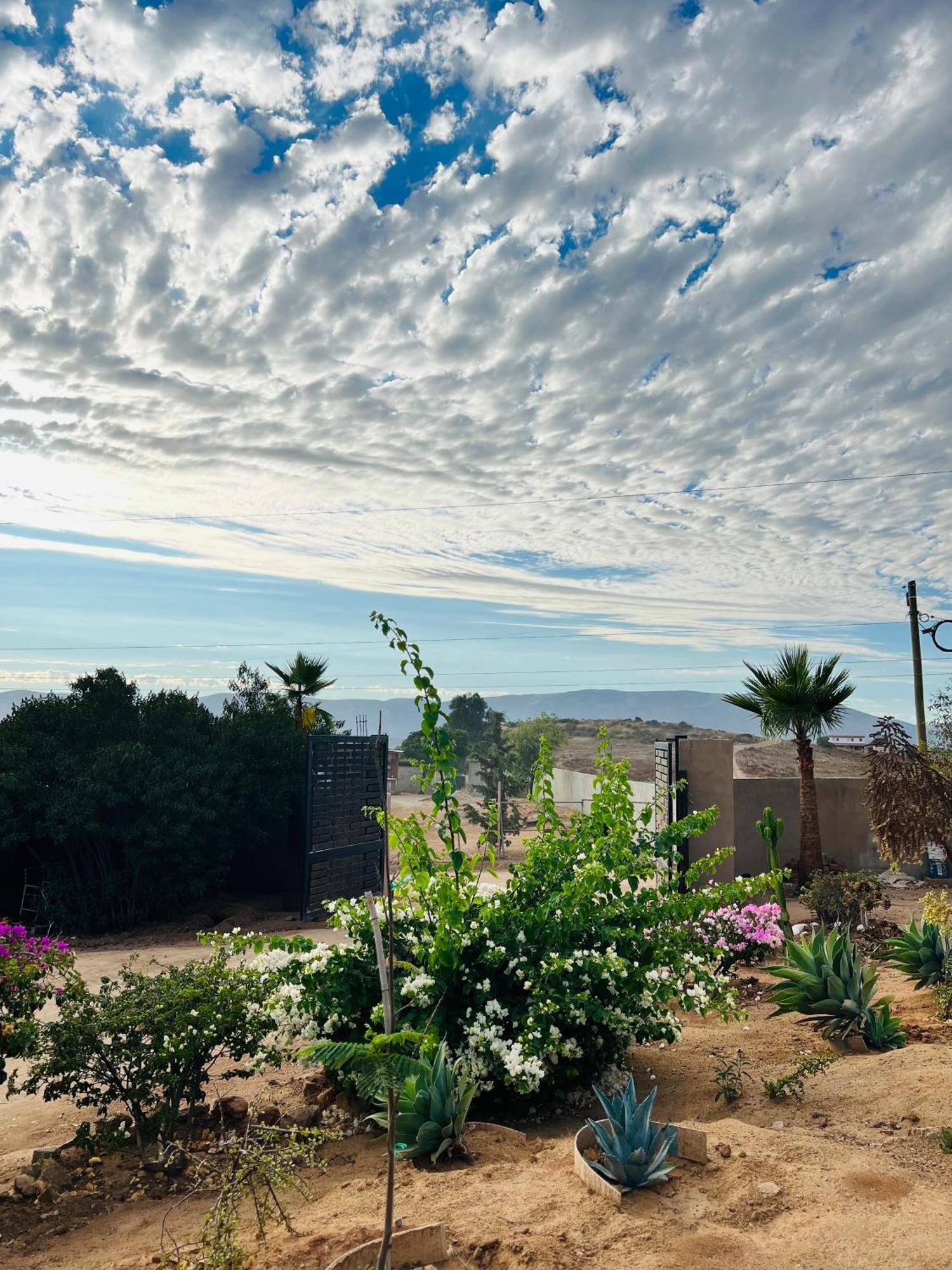 Rancho Matalote En Valle De Guadalupe Zewnętrze zdjęcie